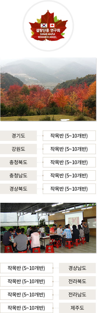조직도