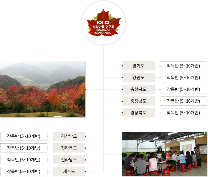 조직도