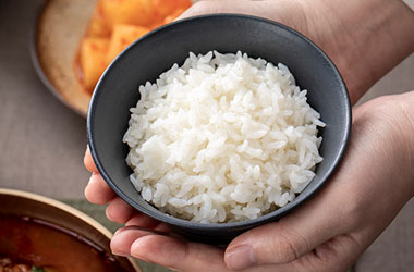 수액 밥
